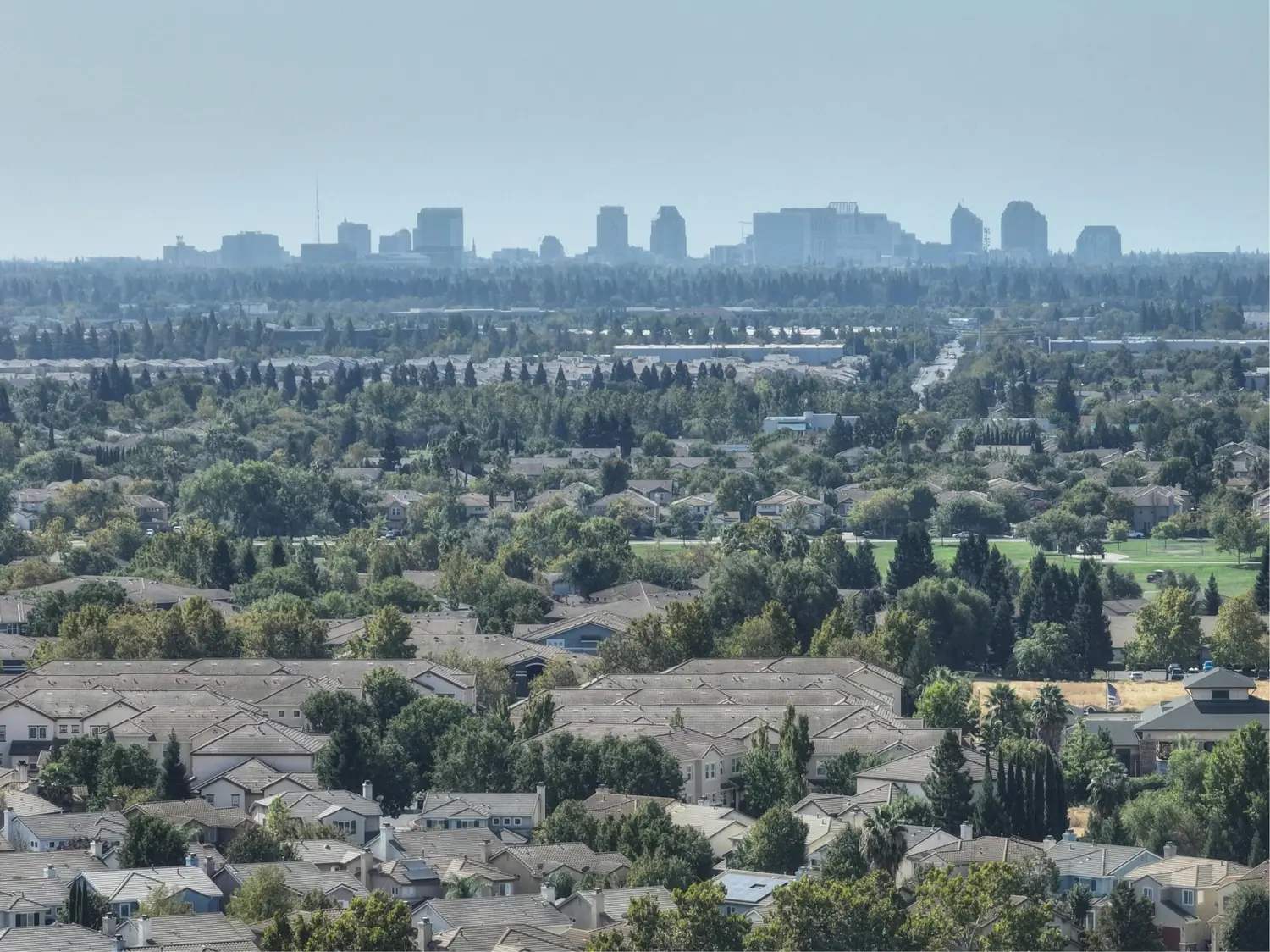 Aerial view of suburban homes and trees with a city skyline visible in the distance.